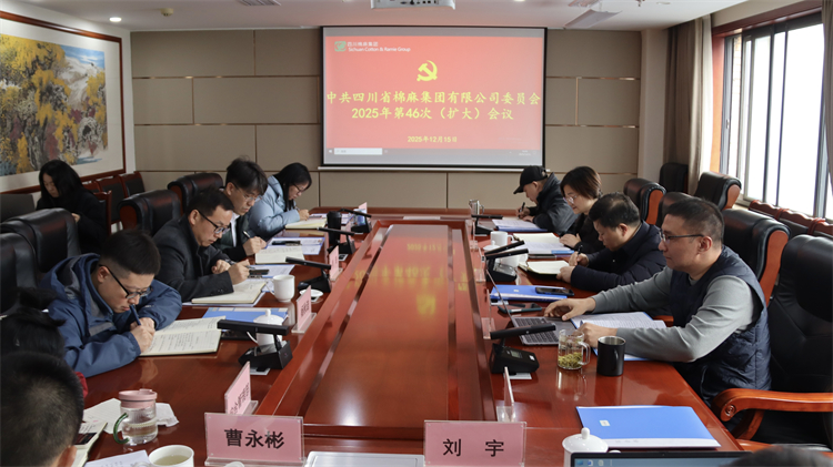 集團(tuán)公司召開2025年第46次黨委（擴(kuò)大）會議