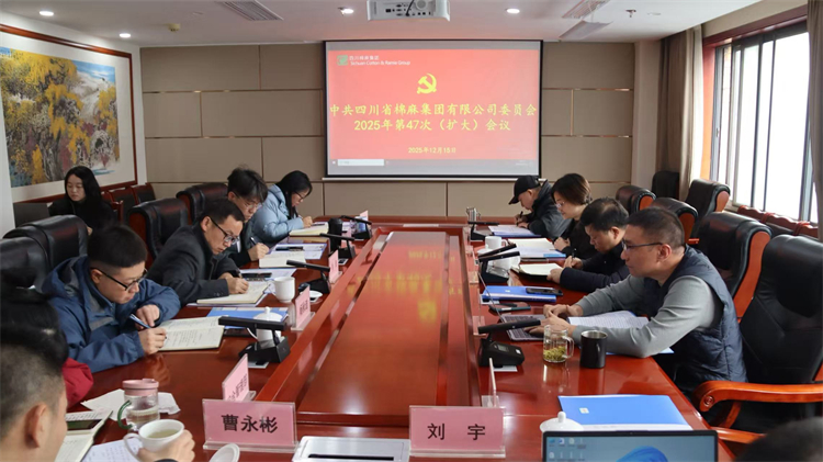 集團(tuán)公司召開2025年第47次黨委（擴(kuò)大）會議